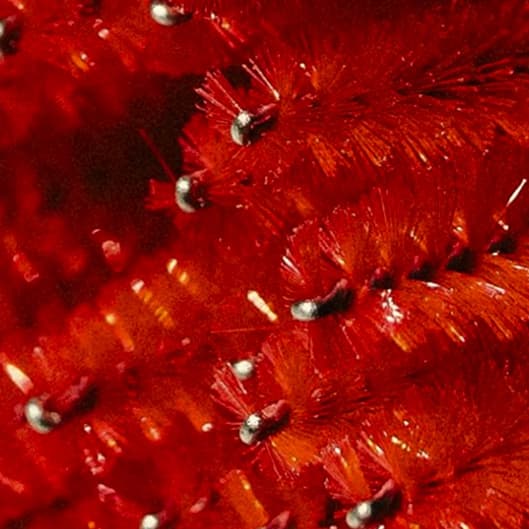 Black Friday Lash Fills Special at Beautify Beauty at Glamorous Beauty Studio in Bend, OR